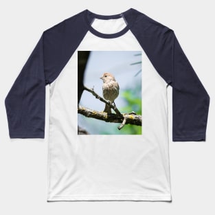 House Finch Profile Baseball T-Shirt